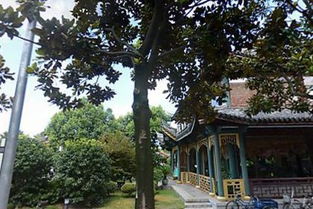 朝直文化用品服務(wù)部 日用雜品的專業(yè)選擇與文化融合