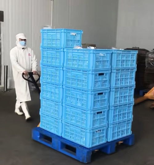 流水線上的日與夜 一位食品廠工人的艱辛與消耗