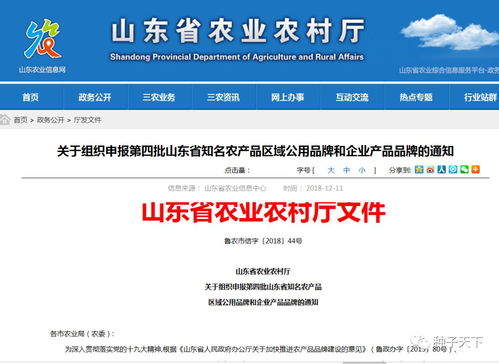山東啟動省級知名農產品品牌申報競賽，推動農業品牌化發展