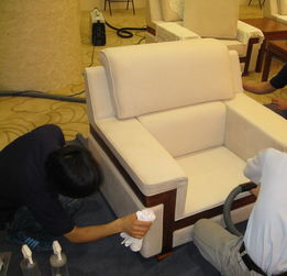 黃馬褂曹操到健康家政 品質(zhì)保潔服務(wù)的新標(biāo)桿